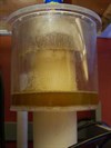 Collection cup showing skimmate production after typical 24 hour period