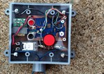555-aquarium-feeding-timer.jpg
