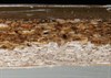 75-Gallon-Self-Leveling-Table-Top-Epoxy-5.jpg